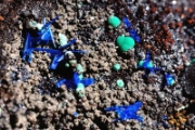 Salsigne (11)
